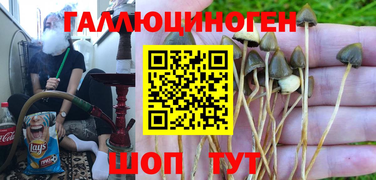 Борзя  Псилоцибиновые грибы мухоморы  Псилоцибиновые грибы ЛСД  Вход с VPN 